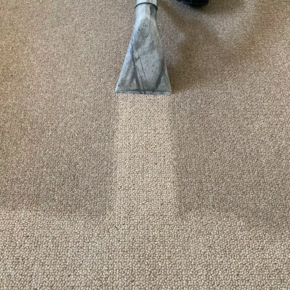 Cleaning a Carpet