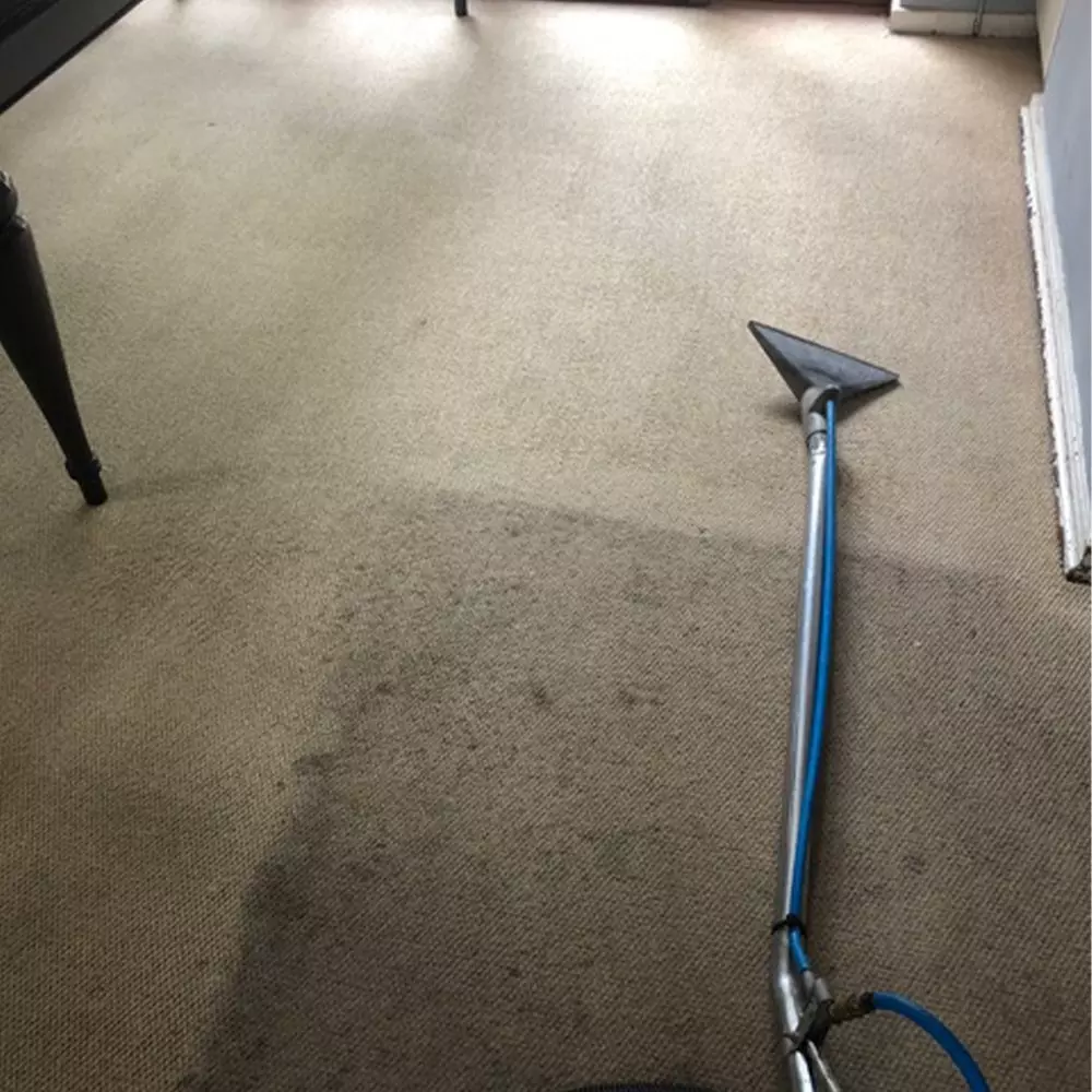 Carpet & a Cleaner