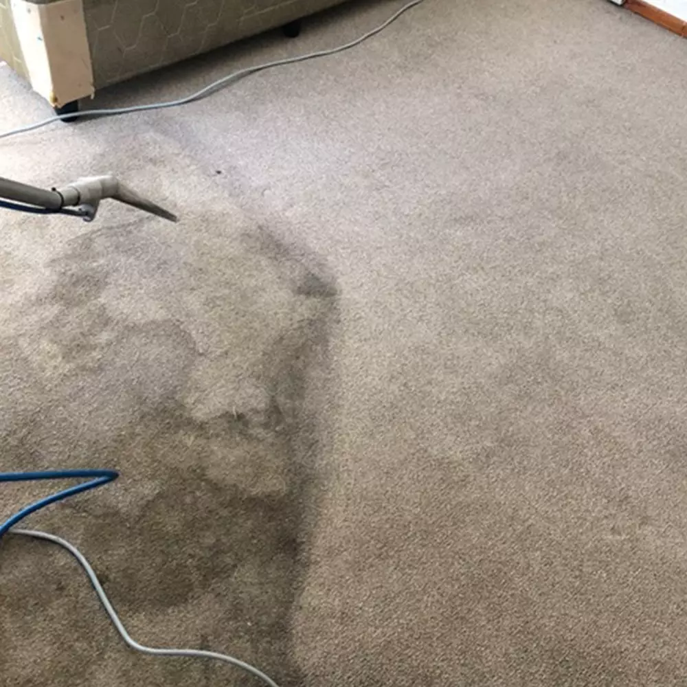 Dirty Carpet