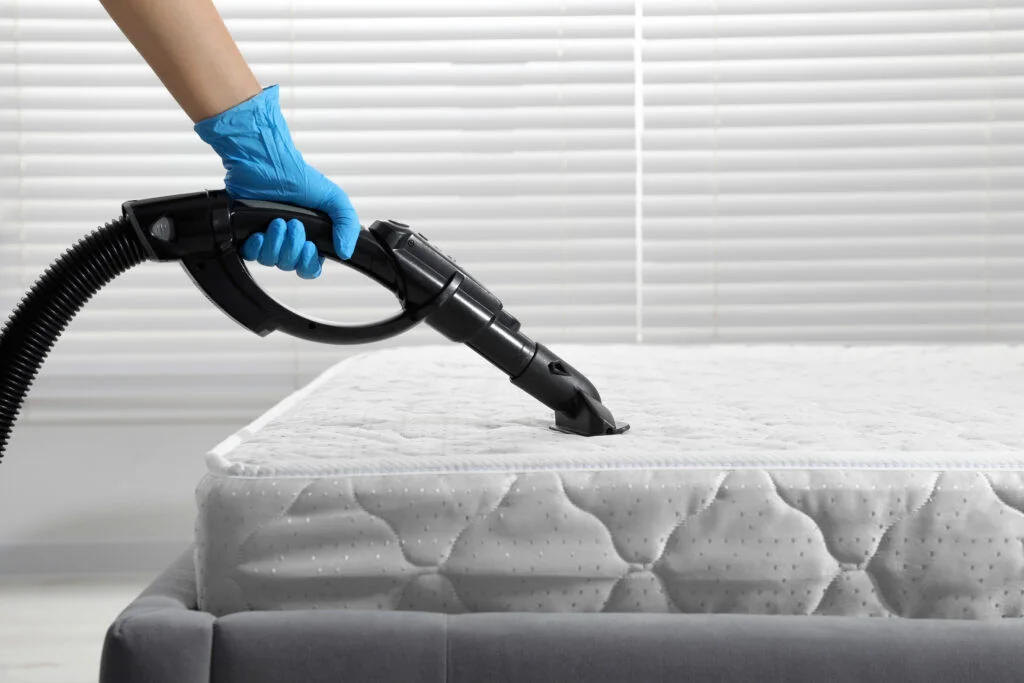 clean mattress after professional bed cleaning service